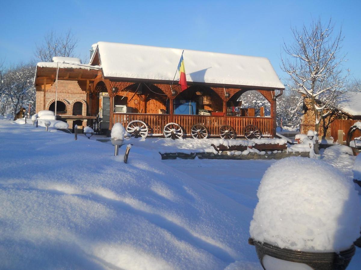 Pensiunea Roua Muntilor Sâmbăta de Sus Exterior foto