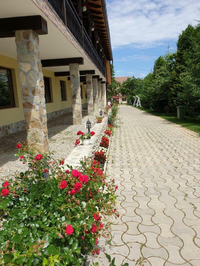 Pensiunea Roua Muntilor Sâmbăta de Sus Exterior foto